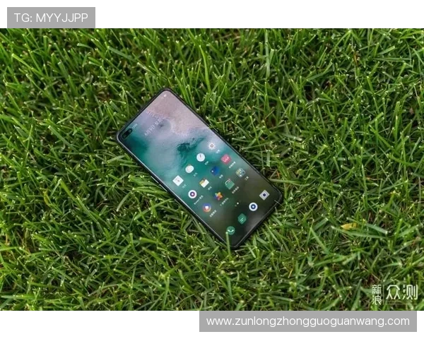 最新AG·尊龙官方网站入口地址2024年最全更新版本详解确保玩家第一时间掌握最新入口信息